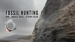 Awesome Find Fossil Hunting At RHB - Boggle Hole - Stoupe Beck - Yorkshire Fossils - Jurassic Coast