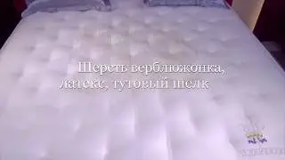 SLEEPEEZEE 