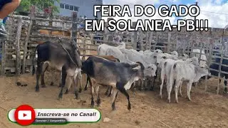 FEIRA DO GADO EM: SOL&Acirc;NEA-PB!!! 10/01/2026. 🤠🏜📹
