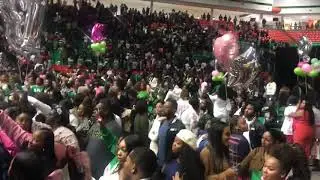 Alpha Kappa Alpha Sorority, Inc | Beta Alpha Fall 19 | Set It Off