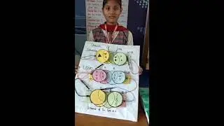 MATH FAIR PM SHRI GSSS LANGROYA 