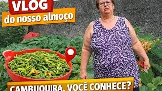 Vlog do nosso almo&ccedil;o/ Cambuquira, voc&ecirc; conhece? 