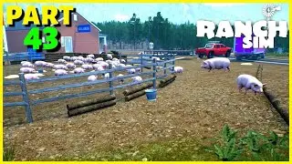 I Made Biggest Open Barn House - Ranch Simulator - PART 43 (HINDI) 2021