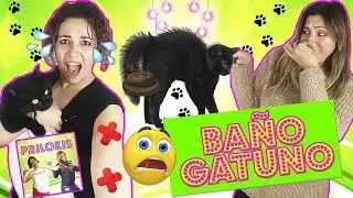 INTENTANDO DUCHAR a nuestro GATO por 1º vez 🐱 REACCIÓN de nuestro GATO al AGUA 😭 ACABA MAL