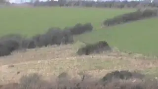 South Pembrokeshire Hunt terriermen appear to dig out an active badger sett