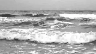 Sea State