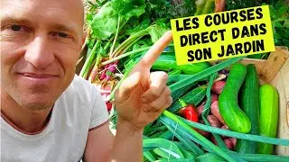 R&eacute;colte hebdomadaire au potager #02 - Juin 2021