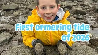 2026 ormering tide with little ted