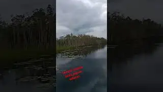 tempat wisata biras,, merauke papua selatan