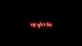 Toi Kun setor bal je tuk rastat pale math dim//rap song Assamese
