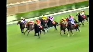 93/94 至今唯一三冠馬王
