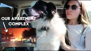 What happened during the Woolsey Fire | Evacuation vlog