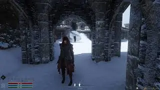 Lorerim - Ebony Warrior Fight Bladezerker Build