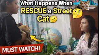 What Happens When You RESCUE a Street Cat? #@mylifesvlogsdrpriyanka #viral #ytshort #trending