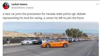 CHEDDARWEDGE on LIVE STREAM