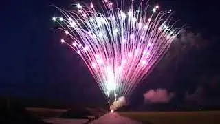 225 Shots - Peacock Coloured Tails Effect #EpicFireworks