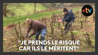 Viticulteurs en Savoie, ils dédient une cuvée à leurs ouvriers sans papiers