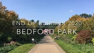 The last rays of summer - Bedford Park [2020]