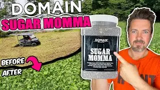 🌿Sugar Momma Food Plot: Big, Leafy & Cold Hardy - Domain Outdoor. Tilled with Black Boar Disc Harrow