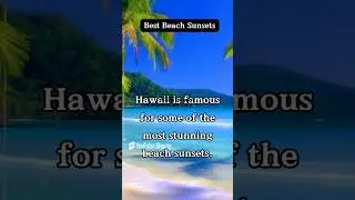 The Most INSANE Tourism Comeback &ndash; Hawaii 2024 Edition 🏄&zwj;♂️
