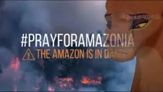 amazon forest fire explained|Tamil