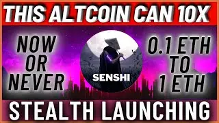 This Token Could Be The Next 10x Altcoin 👀 Senshi Token - Crypto Gems With 10x Potential 🔥