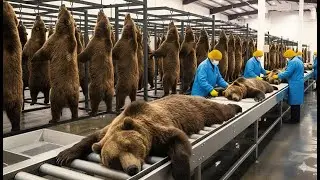 Inside the Bear Leather Factory | How Bear Leather Becomes a $20,000 Luxury Jacket | Full Process