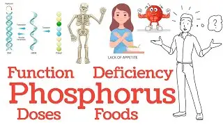 What is Phosphorus? | Calcium and Phosphorus Relation, Dietary Sources, Causes, Symptoms | In Hindi