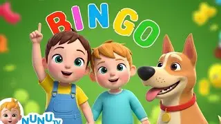Bingo Song | Nursery Rhymes & Kids Songs | NuNu TV