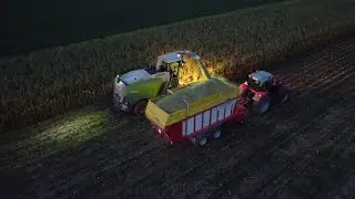 Corn silage 2022, Claas Jaguar + Massey Ferguson