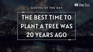 Tree Day Quotes, Inspirational Quotes about Trees, National Tree Plantation Day