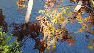 Autumn at the Summer Palace in Beijing
