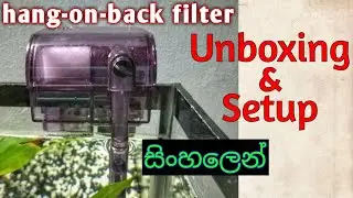 Hang-on-Back Filter unboxing and setup in Sinhala