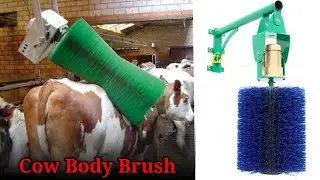 Swinging Cattle Massage Scratching Cleaning | Cow Body Brush
