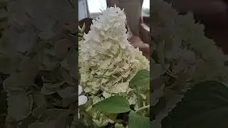 Decoración de nuestro Comedor con tonos neutrales.