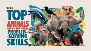 Top 10 Animals Known for Their Problem Solving Skills