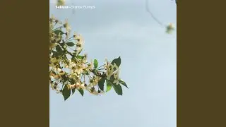 Bedroom Mist