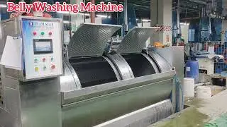 Industrial Belly washing Machine