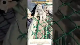 Mastering the Art of Chain-Link Fence Installation
