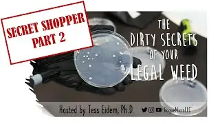 The Dirty Secrets of your Legal Weed: Secret Shopper Part 2