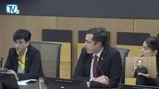 Comisi&oacute;n Permanente Especial de Control de Ingreso y Gasto P&uacute;blico, 22 enero 2026