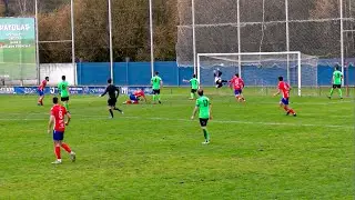 VERIN CF - CD BROLLÓN