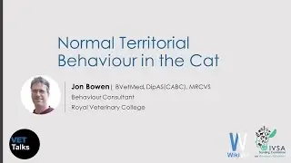 VET Talks- Normal Territorial Behaviour in the Cat