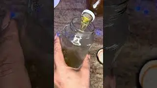 This DIY Gnat Trap Works Too Well 😳🪰 | Vinegar + Dish Soap Hack