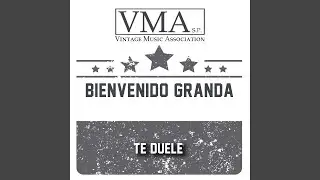 Don Camilo (Guaracha)