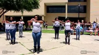 Alpha Tau Chapter of Delta Sigma Theta Yard Show Spring 2014