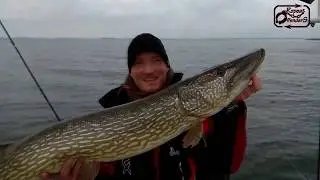 200cm+ in less than 15 min - Repeat Offenders Fishing