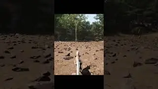 Dondi leaks Baby Austroraptor | The Isle Evrima