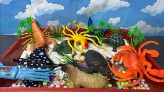Sea Animal Toys with ASMR | Crab, Shark, Star fish, Lion, & More! #animaltoys #asmr
