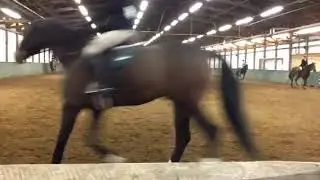 Catie Morgan on Mark (Novice Flat)